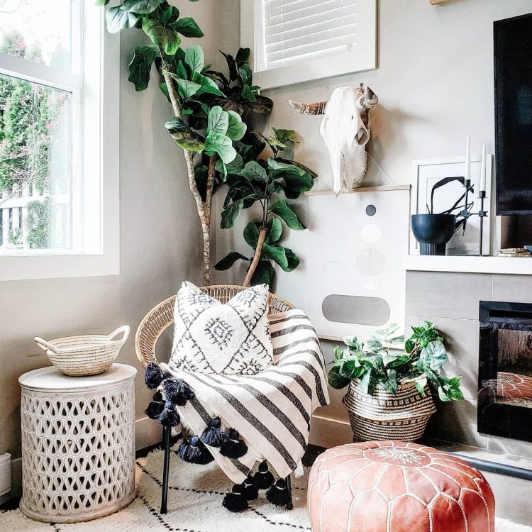 53311957 268768970673826 5859923352054135606 n 1